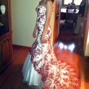 Red and white lace gown